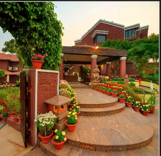 The Economics of Belonging: How Communities Become Engines of Human Potential